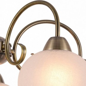Подвесная люстра Arte Lamp Margo A9317LM-5AB в Губахе - gubaha.mebel24.online | фото 3
