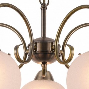Подвесная люстра Arte Lamp Margo A9317LM-5AB в Губахе - gubaha.mebel24.online | фото 4