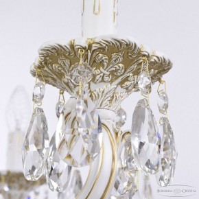 Подвесная люстра Bohemia Ivele Crystal AL7801 AL78101/10/250 A WMG в Губахе - gubaha.mebel24.online | фото 7