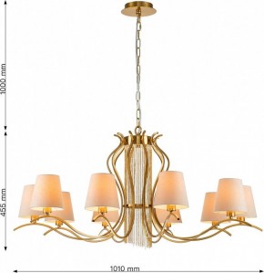 Подвесная люстра Favourite Ketten 2867-10P в Губахе - gubaha.mebel24.online | фото 4