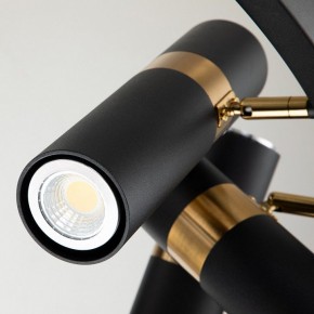 Подвесная люстра Favourite Light point 2997-9P в Губахе - gubaha.mebel24.online | фото 5