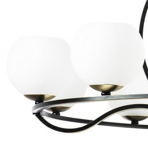 Подвесная люстра Lightstar Enna 762117 в Губахе - gubaha.mebel24.online | фото 4