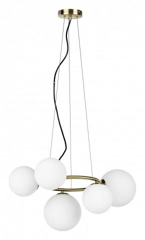Подвесная люстра Lightstar Globo 815051 в Губахе - gubaha.mebel24.online | фото 2