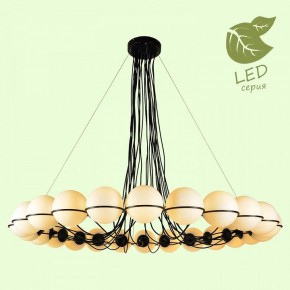 Подвесная люстра Lussole Seneca GRLSP-8176 в Губахе - gubaha.mebel24.online | фото 3