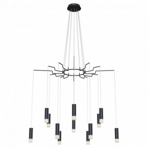 Подвесная люстра Maytoni Davida MOD035PL-12B в Губахе - gubaha.mebel24.online | фото 2