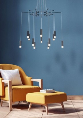 Подвесная люстра Maytoni Davida MOD035PL-12B в Губахе - gubaha.mebel24.online | фото 5