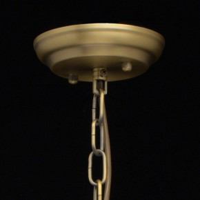 Подвесная люстра MW-Light Альгеро 3 285010703 в Губахе - gubaha.mebel24.online | фото 14