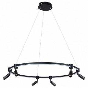 Подвесной светильник Arte Lamp Ring A2186SP-1BK в Губахе - gubaha.mebel24.online | фото 2