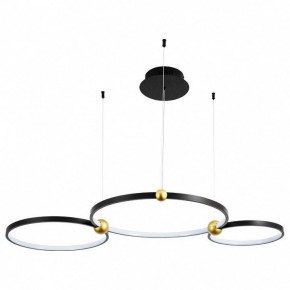Подвесной светильник Divinare Amadeo 1123/04 SP-75 в Губахе - gubaha.mebel24.online | фото