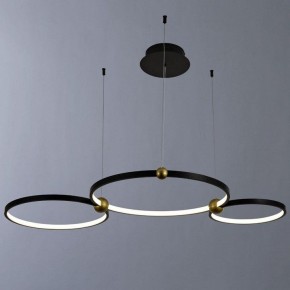 Подвесной светильник Divinare Amadeo 1123/04 SP-75 в Губахе - gubaha.mebel24.online | фото 2
