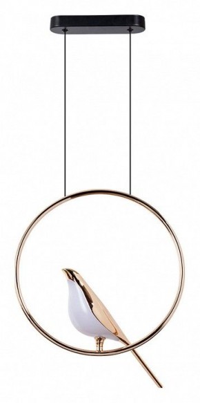 Подвесной светильник Divinare Summer 1188/01 SP-9 в Губахе - gubaha.mebel24.online | фото 2