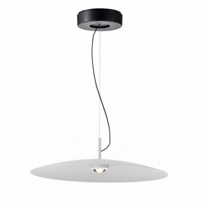 Подвесной светильник Favourite Lars 4410-2P в Губахе - gubaha.mebel24.online | фото 2