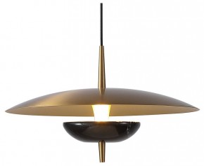 Подвесной светильник Favourite Marmo 4246-1P в Губахе - gubaha.mebel24.online | фото