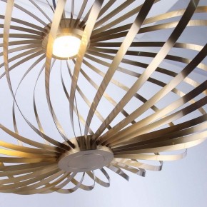 Подвесной светильник Favourite Spring 4680-1P в Губахе - gubaha.mebel24.online | фото 5
