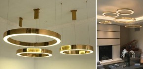 Подвесной светильник Imperiumloft Light Ring Horizontal 40.1454-60 в Губахе - gubaha.mebel24.online | фото 2