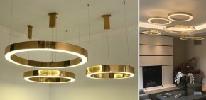 Подвесной светильник Imperiumloft Light Ring Horizontal 40.1454-60 в Губахе - gubaha.mebel24.online | фото 4