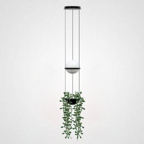 Подвесной светильник Imperiumloft Palma Wall Lamp 22.93727 в Губахе - gubaha.mebel24.online | фото