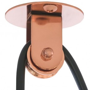 Подвесной светильник Lightstar Acrobata 761073 в Губахе - gubaha.mebel24.online | фото 5