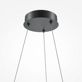 Подвесной светильник Maytoni Curve MOD241PL-L60BK в Губахе - gubaha.mebel24.online | фото 6