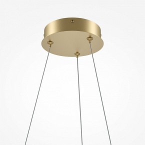 Подвесной светильник Maytoni Curve MOD241PL-L60BSK в Губахе - gubaha.mebel24.online | фото 6