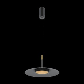 Подвесной светильник Maytoni Halo MOD041PL-L15B3K1 в Губахе - gubaha.mebel24.online | фото 4
