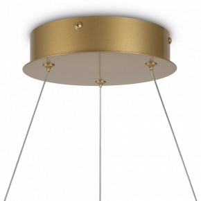 Подвесной светильник Maytoni Halo MOD100PL-L47BSK1 в Губахе - gubaha.mebel24.online | фото 6