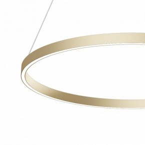 Подвесной светильник Maytoni Rim MOD058PL-L42BSK в Губахе - gubaha.mebel24.online | фото 4