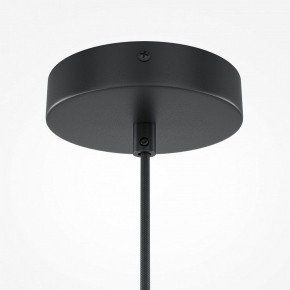 Подвесной светильник Maytoni Roots MOD194PL-01W1 в Губахе - gubaha.mebel24.online | фото 5