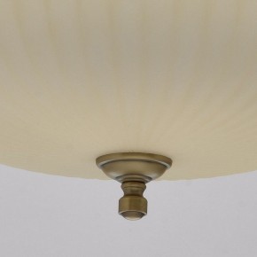 Подвесной светильник MW-Light Афродита 1 317010504 в Губахе - gubaha.mebel24.online | фото 9