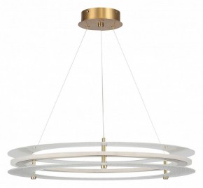 Подвесной светильник ST-Luce FAGY SL6245.203.01 в Губахе - gubaha.mebel24.online | фото 3