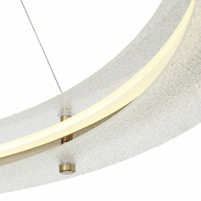 Подвесной светильник ST-Luce FAGY SL6245.213.01 в Губахе - gubaha.mebel24.online | фото 6