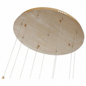 Подвесной светильник ST-Luce SL1116 SL1116.203.09 в Губахе - gubaha.mebel24.online | фото 4