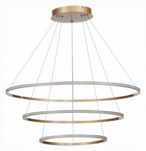 Подвесной светильник ST-Luce ST604 OUT ST604.243.114 в Губахе - gubaha.mebel24.online | фото 2