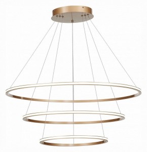 Подвесной светильник ST-Luce ST604 OUT ST604.243.114 в Губахе - gubaha.mebel24.online | фото 3