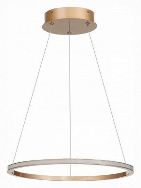 Подвесной светильник ST-Luce ST604 OUT ST604.243.22 в Губахе - gubaha.mebel24.online | фото 2