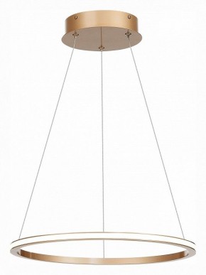 Подвесной светильник ST-Luce ST604 OUT ST604.243.22 в Губахе - gubaha.mebel24.online | фото 3