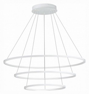 Подвесной светильник ST-Luce ST604 OUT ST604.543.114 в Губахе - gubaha.mebel24.online | фото 2