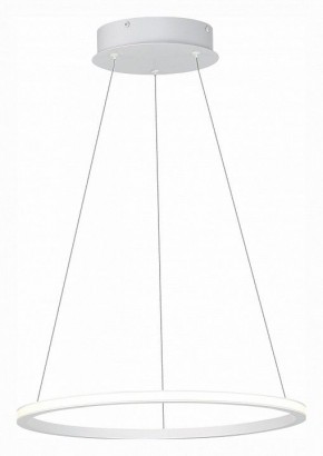 Подвесной светильник ST-Luce ST604 OUT ST604.543.22 в Губахе - gubaha.mebel24.online | фото 3