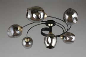 Потолочная люстра Aployt Flor APL.611.17.06 в Губахе - gubaha.mebel24.online | фото 1