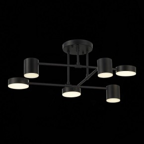 Потолочная люстра EVOLUCE Nobel SLE201042-06 в Губахе - gubaha.mebel24.online | фото 13