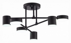 Потолочная люстра EVOLUCE Nobel SLE201042-06 в Губахе - gubaha.mebel24.online | фото 5