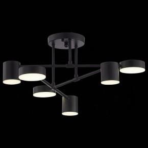 Потолочная люстра EVOLUCE Nobel SLE201042-06 в Губахе - gubaha.mebel24.online | фото 6