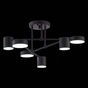 Потолочная люстра EVOLUCE Nobel SLE201042-06 в Губахе - gubaha.mebel24.online | фото 9