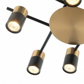 Потолочная люстра Favourite Topper 2825-8P в Губахе - gubaha.mebel24.online | фото 3