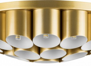 Потолочная люстра Lightstar Siena 720222 в Губахе - gubaha.mebel24.online | фото 3