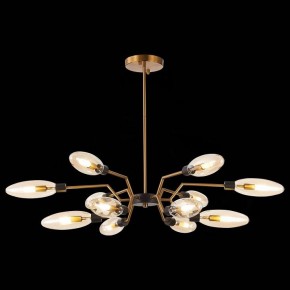 Потолочная люстра ST-Luce Desima SL1174.303.12 в Губахе - gubaha.mebel24.online | фото 2