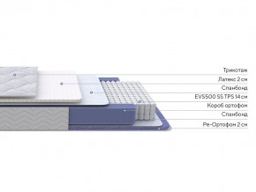 PROxSON Матрас Active Duo S/F (Ткань Трикотаж Эко) 160x190 в Губахе - gubaha.mebel24.online | фото 3