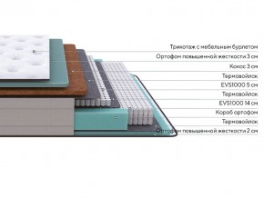 PROxSON Матрас Elysium Firm (Трикотаж Spiral-RT) 120x195 в Губахе - gubaha.mebel24.online | фото 2