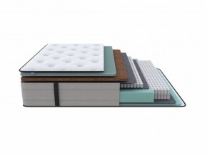 PROxSON Матрас Elysium Firm (Трикотаж Spiral-RT) 120x200 в Губахе - gubaha.mebel24.online | фото 1