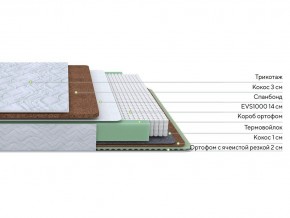 PROxSON Матрас Green Duo M/F (Tricotage Dream) 120x195 в Губахе - gubaha.mebel24.online | фото 2